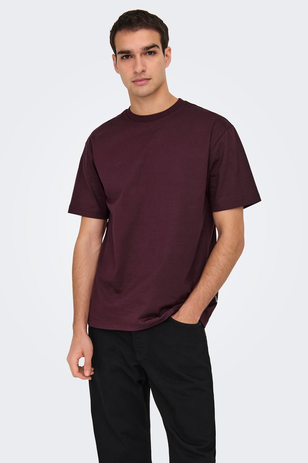Only & Sons Fred Life Rlx SS Tee Port Royale