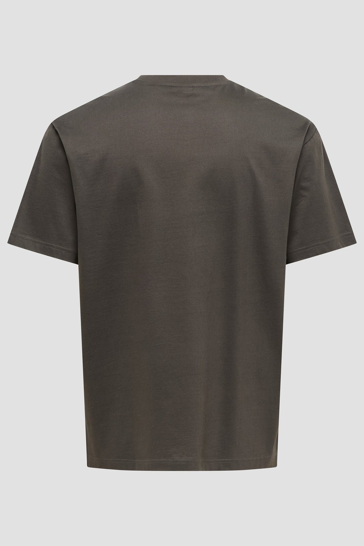 Only & Sons Fred Life Rlx SS Tee Beluga