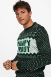 ONLY & SONS ONSX-MAS GRUMPY BEER KNIT Pine Grove