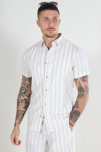 Joshua Oxford Strip Shirt SS Crockery